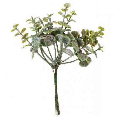 1 Mini bouquet d'Eucalyptus 17cm REF/10861 (décoration nature Champêtre, Jungle, fleurs...)