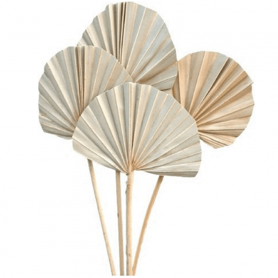 11892 decoration fleur sechee feuille de palmier arrondies 50cm