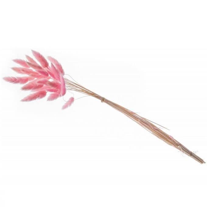 11950 decoration bouquet tiges fleur naturelle lagurus rose 50cm 60cm