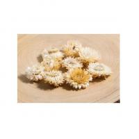 12010 decoration nature champetre fleur tetes helichrysum naturel blanc