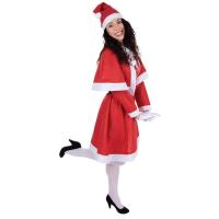 12054 costume mere noel adulte femme