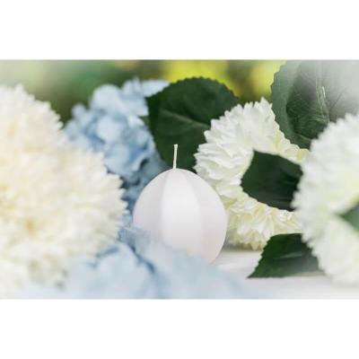 13865 bougie blanche carambole