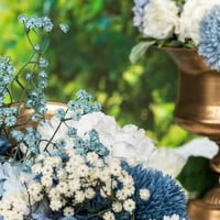 13917 magasin pas de calais tige fleur gypsophile bleu