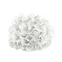 14046 tete hortensia blanche 20cm x 11cm