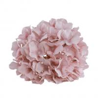 14046 tete hortensia vieux rose 20cm x 11cm