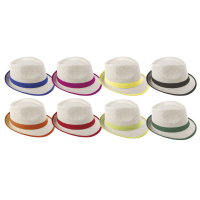 14627 chapeau de paille borsalino adulte multicolore