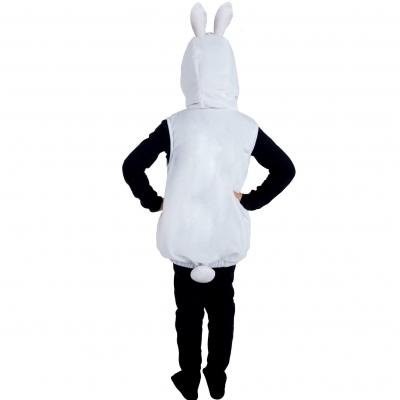 17762 age 5ans 6ans deguisement enfant combinaison animal lapin