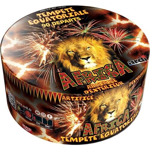 22305 compact tempete equatoriale feux artifice exterieur ardi