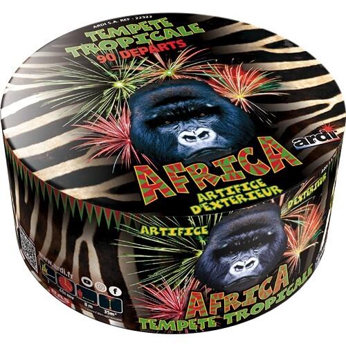 22323 compact tempete tropical feux artifice exterieur ardi