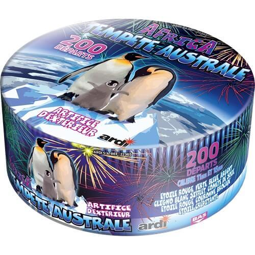 22365 compact tempete australe feux artifice exterieur ardi