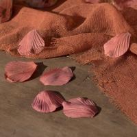 2868 petale de rose tissu terracotta