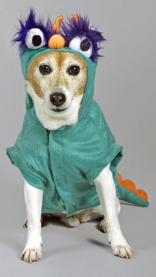 33 2844 02 deguisement costume chien monstre taille s