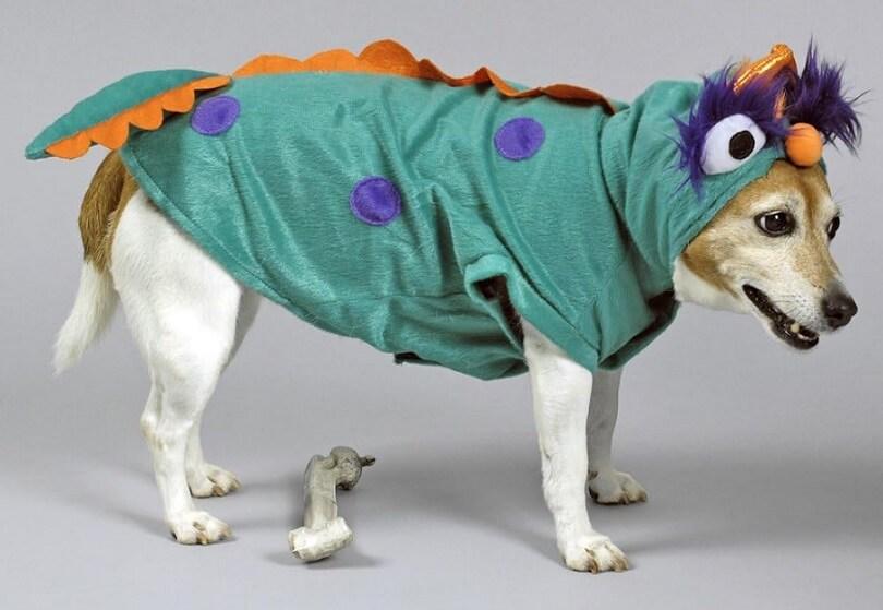 33 2844 02 deguisement costume pour chien monstre taille s