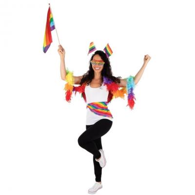 Grand boa multicolore en plumes pour fete