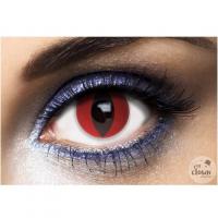 55507 lentilles de contact annuelles chat yeux rouges