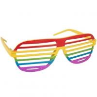 62838 lunettes adulte barreaux arc en ciel multicolore