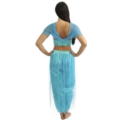 66502 taille sm deguisement costume femme adulte princesse orientale