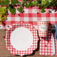 7269 decoration de table assiette carton vichy rouge