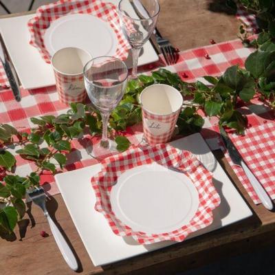 7269 assiette carton vichy rouge