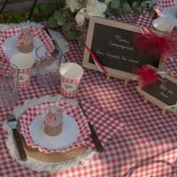 7271 serviette de table papier 3 plis rouge vichy a la campagne francaise