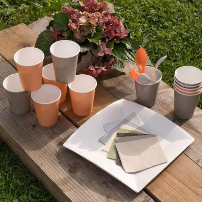 7408 assiette carton carree blanc 23cm