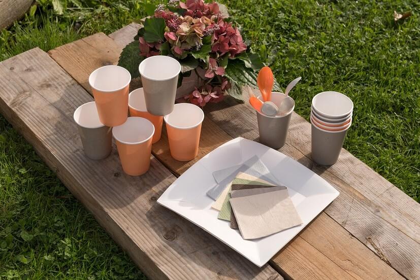 7408 assiette carton blanche 23cm