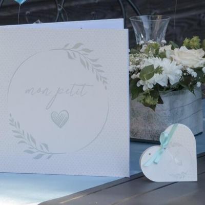 7624 livre dor blanc et bleu ciel bapteme baby shower naissance