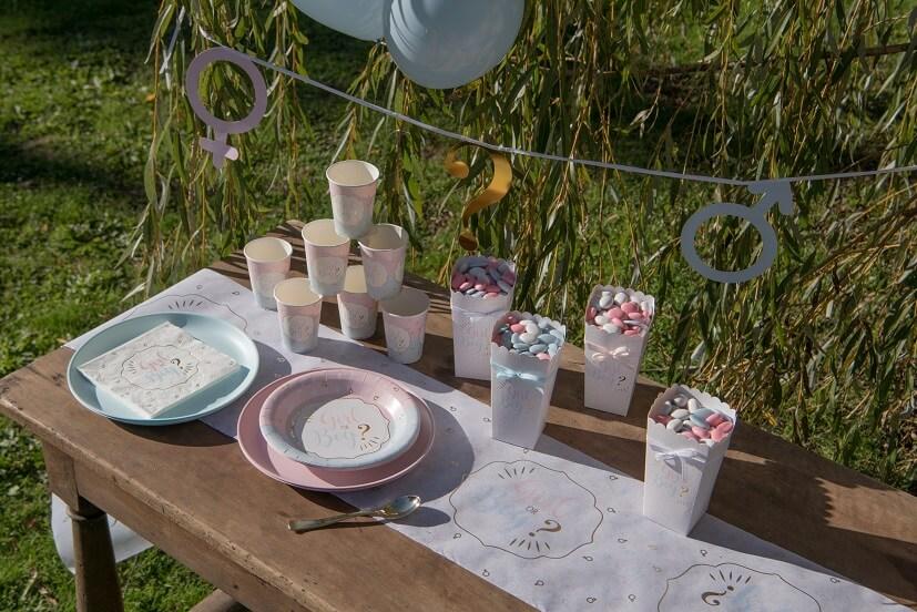 7654 decoration chemin de table gender reveal boy or girl fille garcon