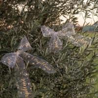 7675 bobine decoration ruban tulle bapteme blanc et dore or 1