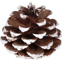 7754 decoration pomme de pin marron et blanc