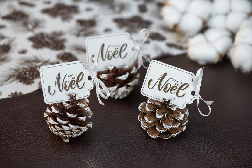 7754 pomme de pin marron et blanc