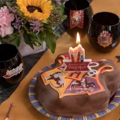 7915 decoration bougie gateau fete anniversaire harry le sorcier