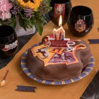 7915 decoration bougie gateau fete anniversaire harry le sorcier