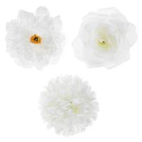 8569 fleurs blanches decoratives champetre