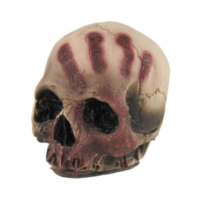 902405 boutique decoration fete halloween pas de calais crane ensanglante