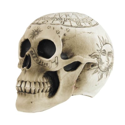 902418 boutique decoration fete halloween pas de calais crane squelette pentagramme