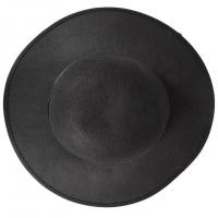91041 accessoire deguisement chapeau rabbi jacob noir et tresses