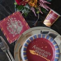 Assiette en carton anniversaire magique harry le sorcier