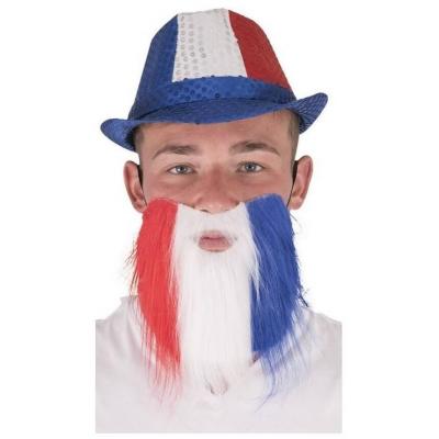 Moustache et barbe tricolore france supporters