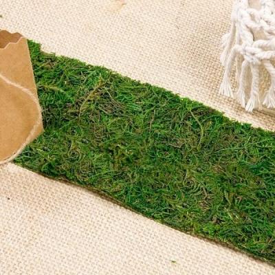 Ruban sur chemin de table mousse verte avec effet naturel 8 cm x 1.20m (x1) REF/RU421