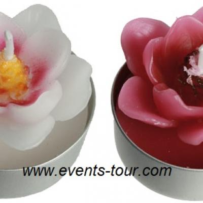 Bougie chauffe-plat magnolia rose fuchsia (x4) REF/144144