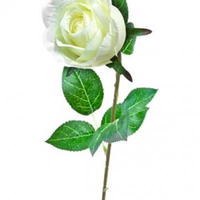 Bouton de rose blanche 60cm