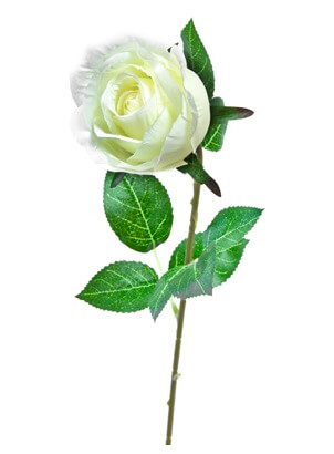 Bouton de rose blanche 60cm