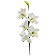 Branche d'orchidée blanche, 80cm (x1) REF/FTG2028