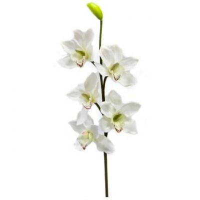 Branche d orchidee blanche 80cm 1