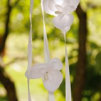 Branche d orchidee blanche pour decoration