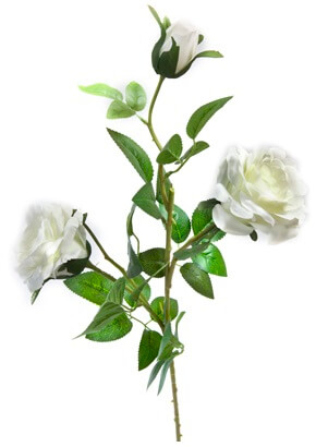 Branche de rose blanche 75cm