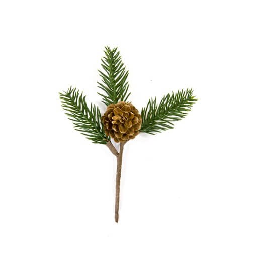 Branche de sapin et pomme de pin