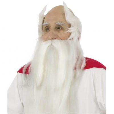 C4211 perruque blanche et barbe panoramix asterix