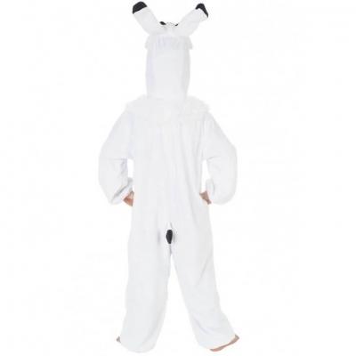 C4478 age 5ans 6ans costume enfant idefix asterix